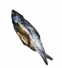 Силиконовый молд "Рыба вобла", 17 см