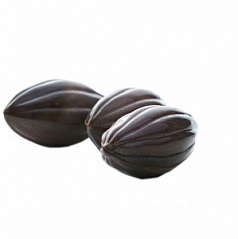 Форма для конфет поликарбонатная КАКАО БОБ Chocolate World, 27,5*13,5 см