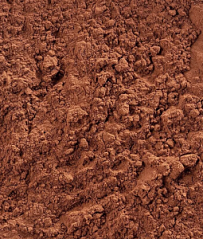 Какао-порошок алкализованный 22-24% Decor Cacao Cacao Barry, 200 г