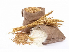 Глютен пшеничный (клейковина) марка А, 1 кг (архив)