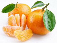 Паста-пюре фруктовая КОНФРУТТИ НАТУР мандарин, 1 кг